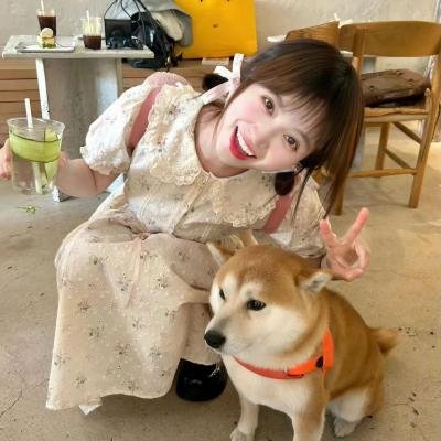 汪汪队立大功第九季